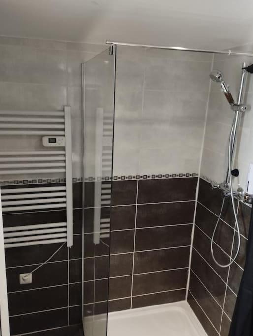 Appartement Coeur De Ville! Foix Esterno foto