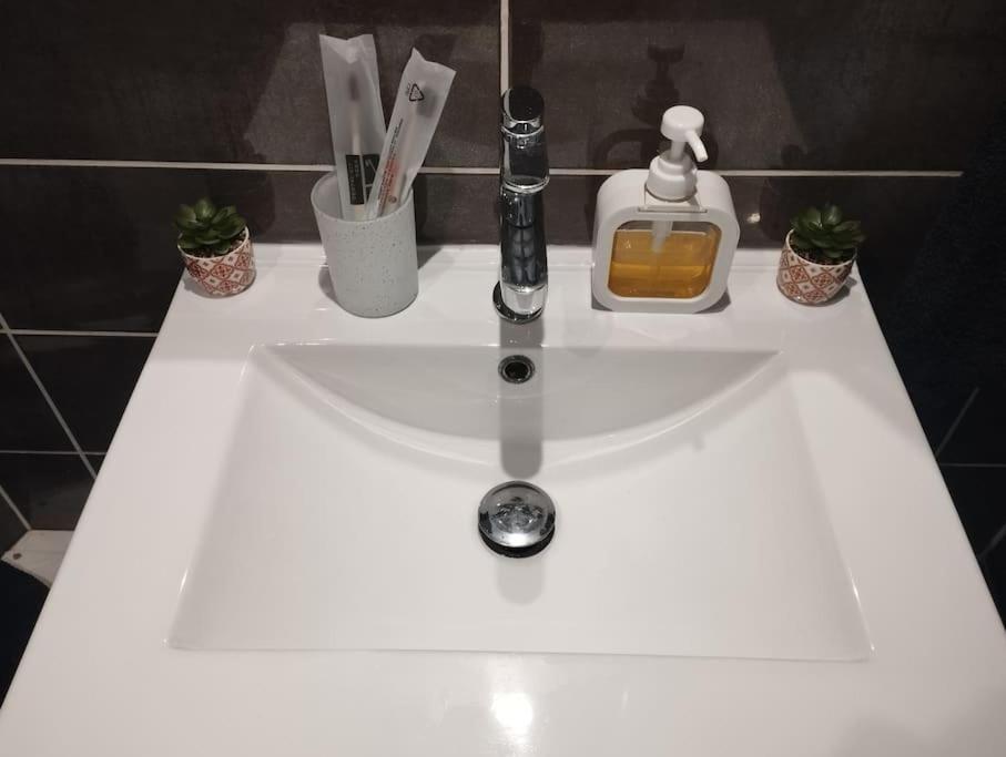 Appartement Coeur De Ville! Foix Esterno foto