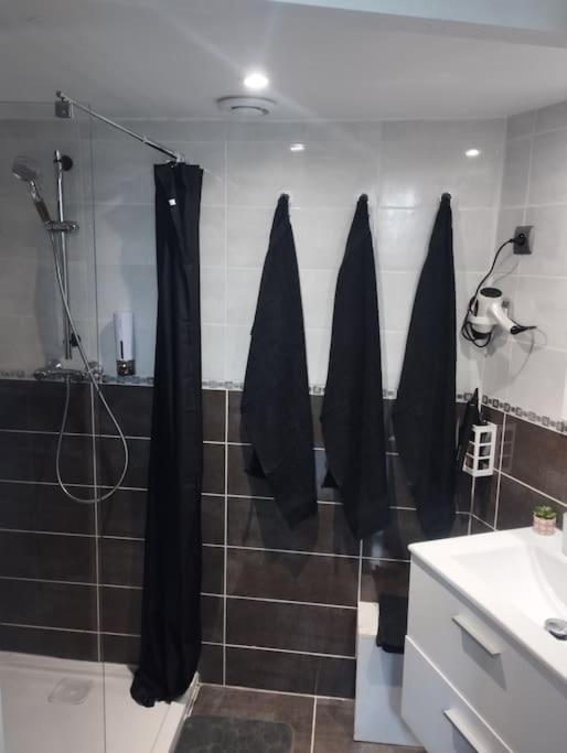 Appartement Coeur De Ville! Foix Esterno foto